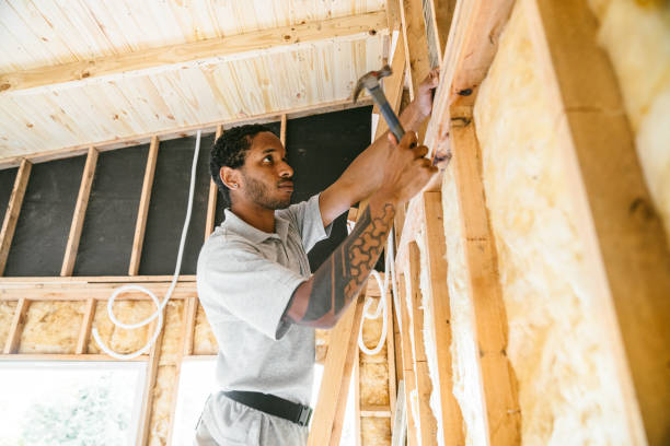 Best Professional Insulation Contractor  in Maili, HI